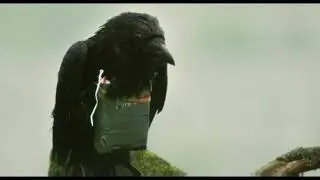 Four Lions - Brother Crow