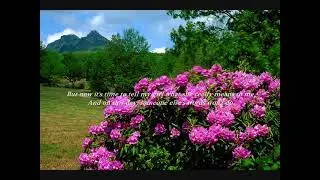 Lady of the Rhodedendrums #lovesong #marriage #anniversary #dedication #wedding #eternity