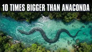 Found in Amazon... 10X Bigger Than Anaconda
