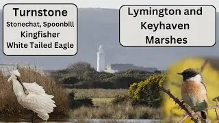 Lymington and Keyhaven Nature Reserve -