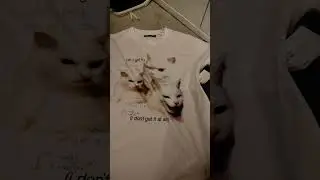 triple cat