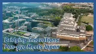 Pan-gyo x Japan: Unveiling the Path to Global Tech Collaboration