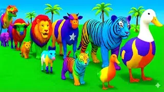 Long Slide Game With Cow Elephant Gorilla Hippopotamus Tiger - 3d Animal Game - Funny 3d Animals