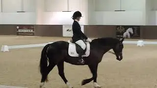 sallie snow and winmark jade dressage to music to wicked