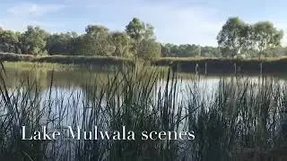 Lake Mulwala Scenes