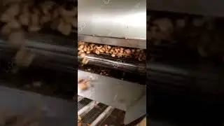 How To Fry Pork Skin Crispy? Chicharr&oacute;n Frying Machine  #Shorts