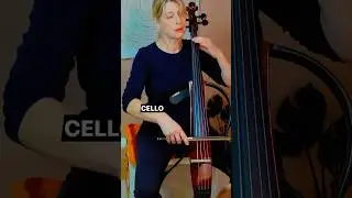 E-Cello, ja oder nein? #cellolernen #cello #cellounterricht