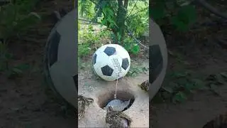 How To Make A Bird Trap Using Football - #Shorts - Simple Bird Trap