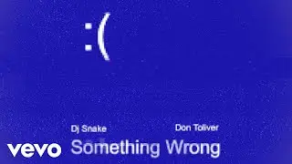DJ Snake, Don Toliver - Something Wrong (Official Visualizer)