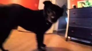 Oliver Cam