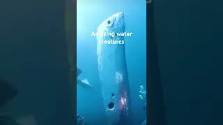 amazing water creatures #ytshorts #information #facts #youtubeshorts #shorts #faccif