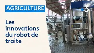 Les innovations du robot de traite
