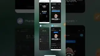 Paws Airdrop Phantom Wallet Connect Check ✅