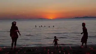 Back to the Sunrise (New EDM with a lounge vibe 2025)