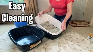 Cleaning Litter Is So Much Easier Now