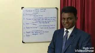 7P formula for Selection Best MLM Company