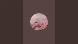 30分ドライブ配信