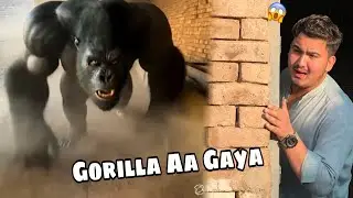 Pet House Mein Gorilla Aa Gaya 😱 | Full Danger