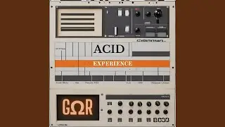 Acid Experience