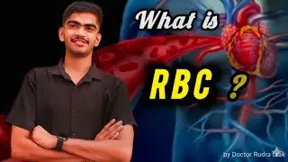 🩸 What is RBC? | Detailed Explanation of Red Blood Cells | Class 11biology #neet #neetbiology 