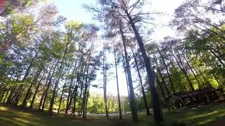 Quad - Tree Slayer