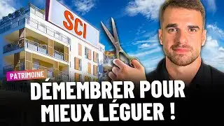 SCI et démembrement : transmettre plus, payer moins, garder le contrôle !