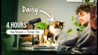 study with me LIVE pomodoro (PhD scientist) – silent 50/10, no music, ADHD!