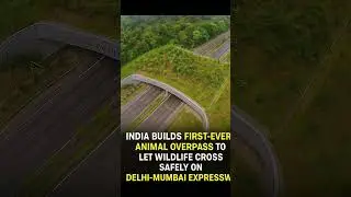 India Builds First AnimalOverpass on DelhiMumbai Expressway Wildlife Corridor Initiative #shortsfeed