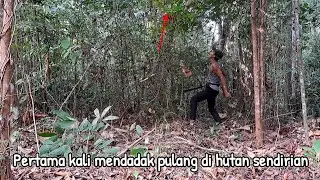 Masuk hutan sendirian mendadak pulang karna ada teguran||JALAN KEHIDUPAN Eps.236