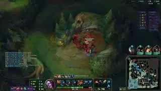Shyvana Season 14 vod review
