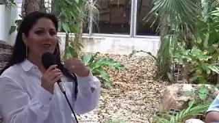 Flora en Yucatán ¿Es la chaya orgullosamente yucateca?