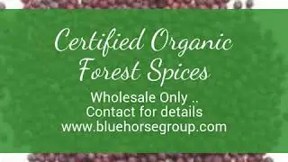 Certified Organic Forest Spices