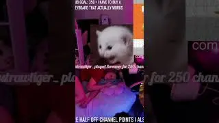 Chat thought they were soooo funny #streamer #gamergirl #twitch #sleepstream #chatfam