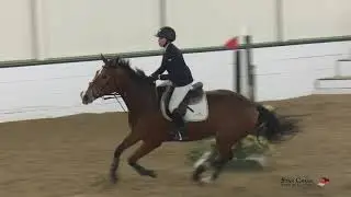 Emily Lacey & Trooper's Boy - Low C/A Jumper - Saturday - Led A2 Jan 2019