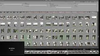 Wedding photography - Lets chat