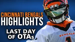 Highlights of Joe Burrow, Tyler Boyd, Joe Mixon and More! | Bengals OTAs