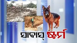 Rescue Dog &lsquo;Storm&rsquo; Returns to Berhampur After Kerala Search Operation, Uncovers 10 to 12 Bodies