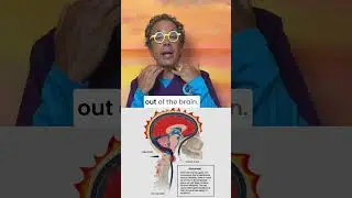 Temperature fluctuations can be from neck instability #keepcool #brainhealth #brain #jugular