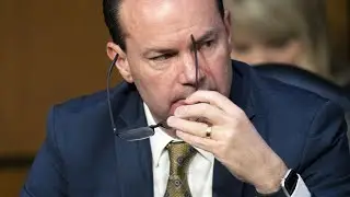 Texts show Sen  Lee assisting Trump efforts to overturn election