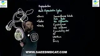 Reproduction (NMDCAT) by star academy(lecture 1)