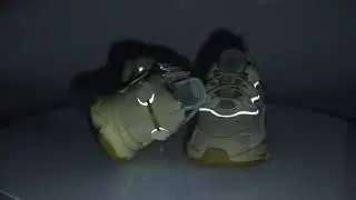 12068