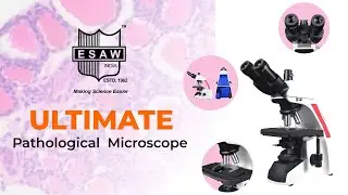 Ultimate Pathological Microscope