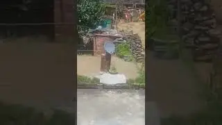 kihar nala
