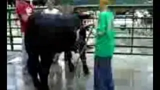 @jerrybattiste [Dirty cow? Clean it up!]