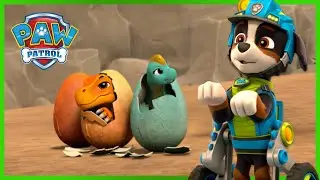 PAW Patrol Dino Rescue save the Lost Dinosaur Eggs - PAW Patrol - Cartoons for Kids