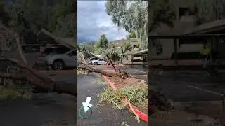 Devastating Arizona Floods Watch Unprecedented Flooding in Arizona Nature Rages Violently in America
