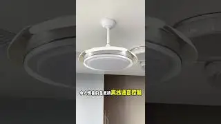 Fan light Voice-controlled fan light, beautiful and practical home product