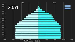Botswana Population Pyramid 1950-2100