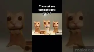 Most sus comment gets pinned