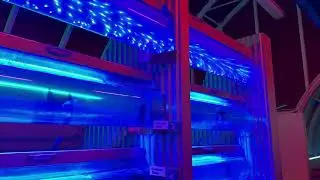 Epcot - Living with the Land - Glimmering Greenhouses - 12/19/2025 - 4k